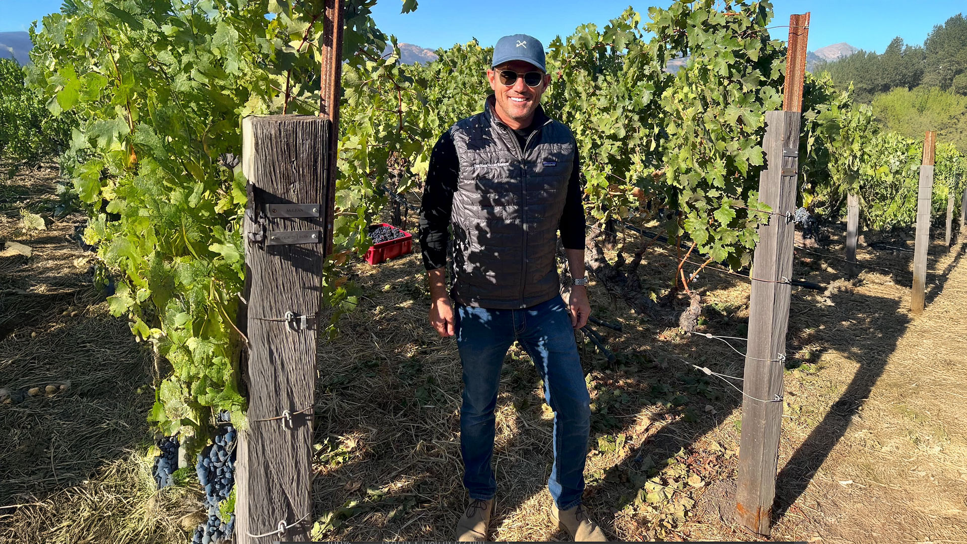 Zack Bates in Napa Valley vineyard